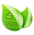 iconn